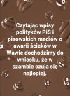 PiS wreszcie odnalazł swoje naturalne środowisko 