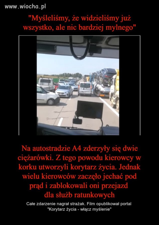 Janusze na drodze