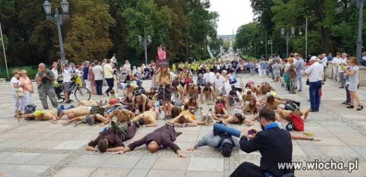 Tymczasem na pielgrzymce