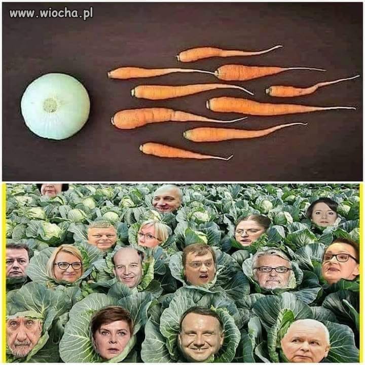 Skąd się wzięła