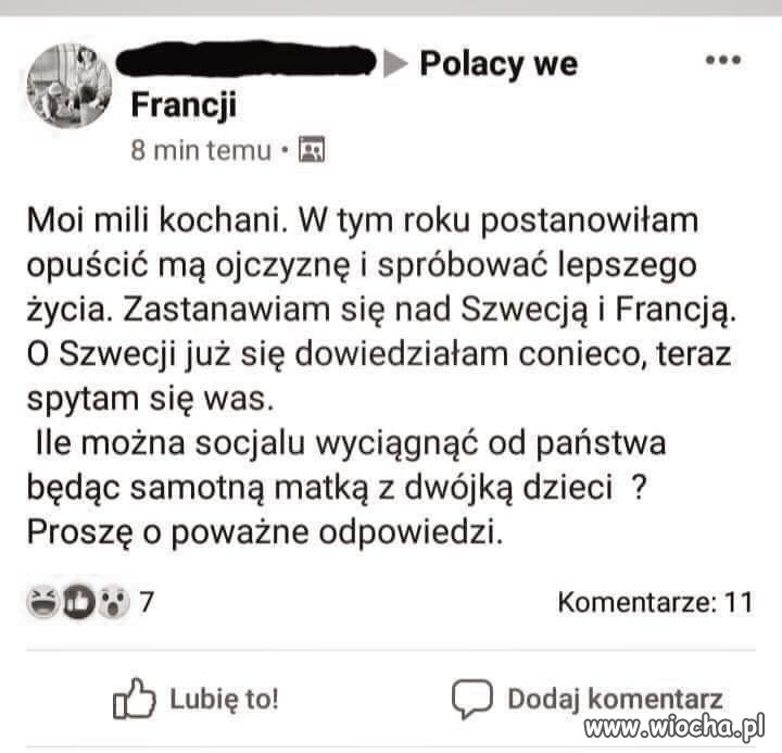 Puścić się i doić mopsy za pomocą swojego miotu