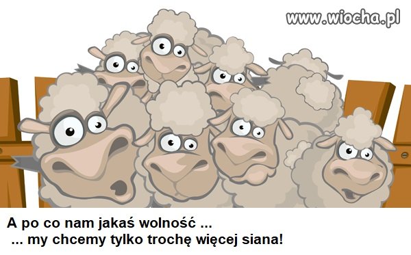 Na wybory