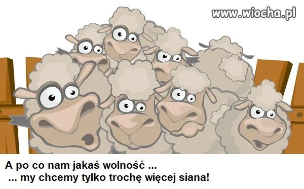 Na wybory