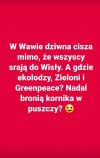 Gdzie Ekolodzy I Greenpeace.