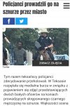 Strażnicy teksasu