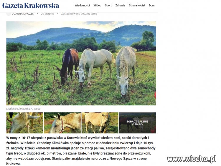 Kradzież koni
