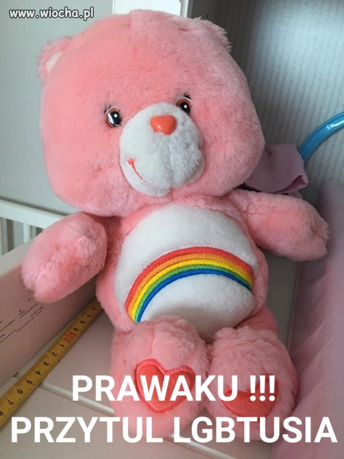 Moja mała chamska promocja elgiebete i dżendżer