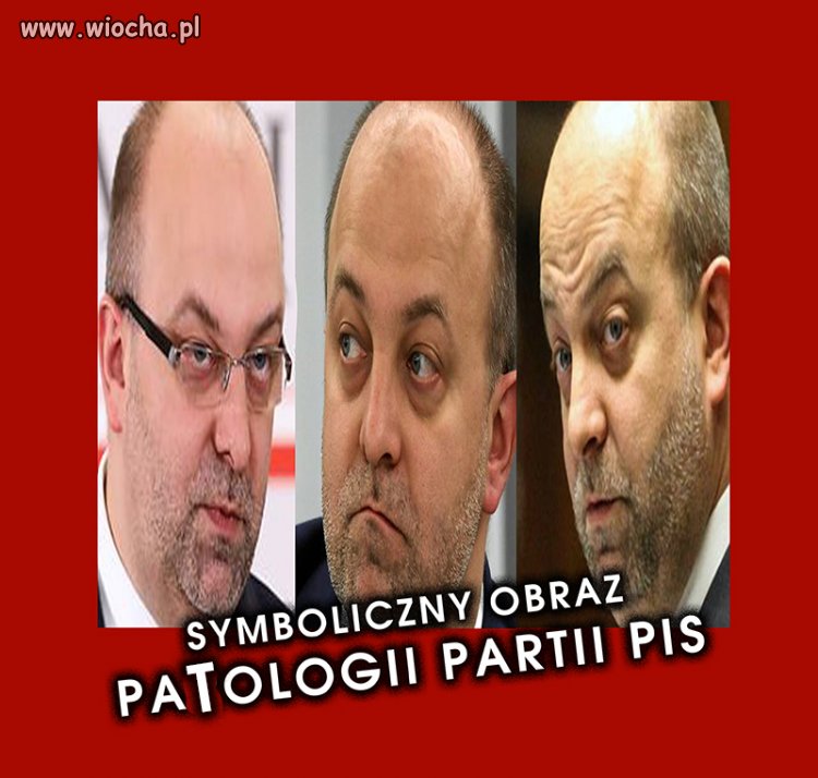 Patologia PIS
