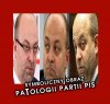 Patologia PIS