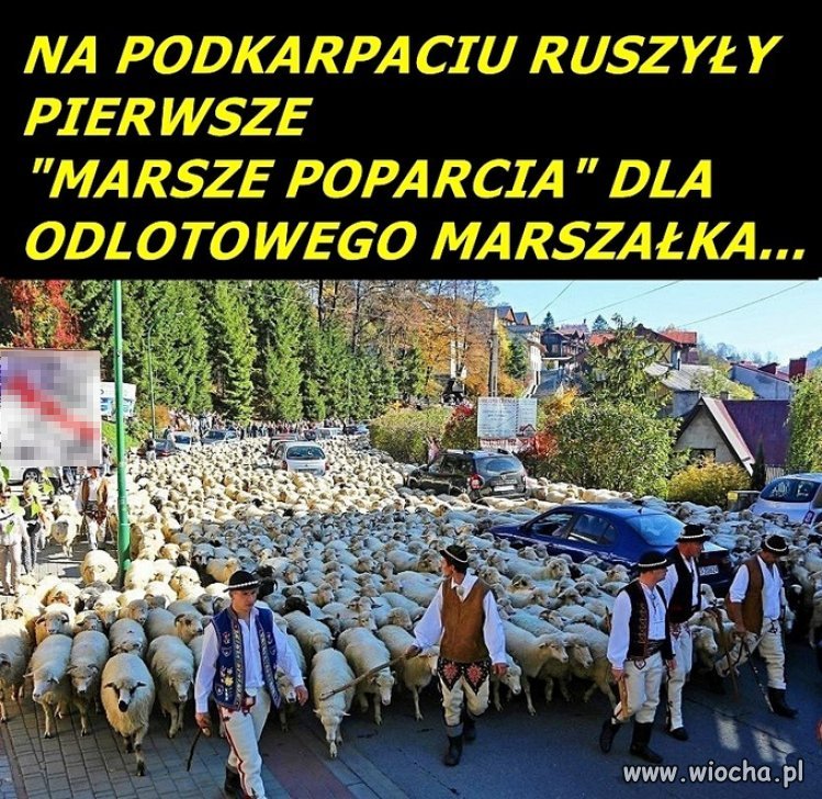 Marsze poparcia...