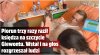 Bóg mu kazał