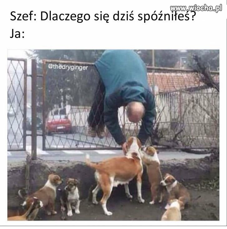 Piątek na luzie