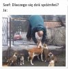 Piątek na luzie