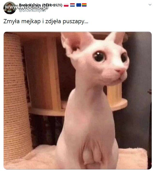 Samo życie