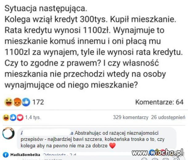 Kolega...