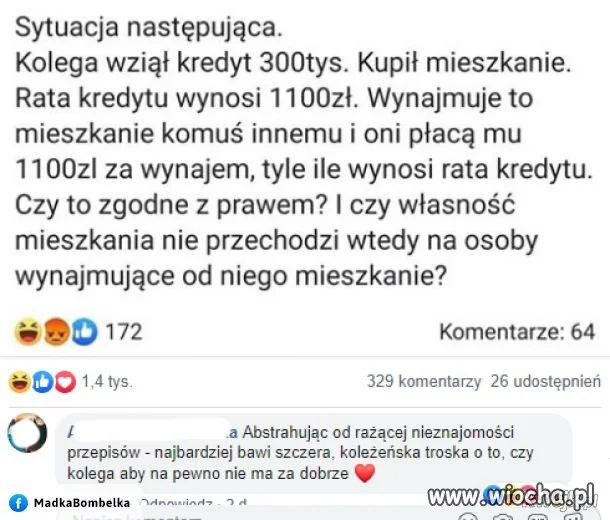 Kolega...
