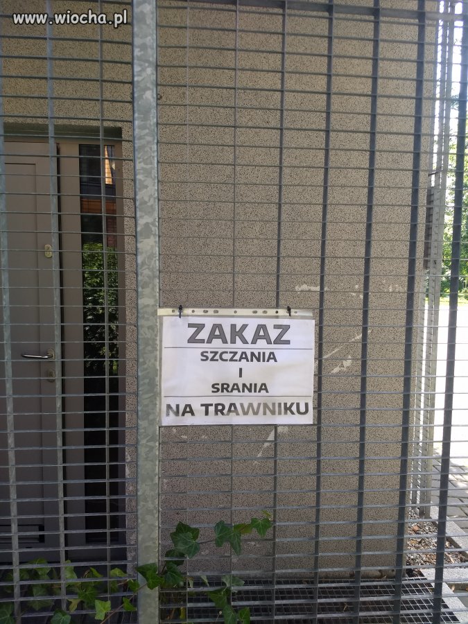 Po jedenaste