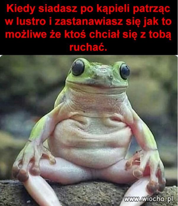 #Żaba