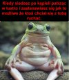 #Żaba
