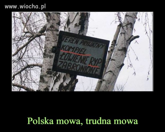 Taka informacja