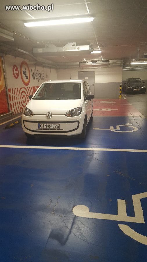 Szlachta na zakupach 