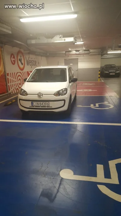 Szlachta na zakupach 