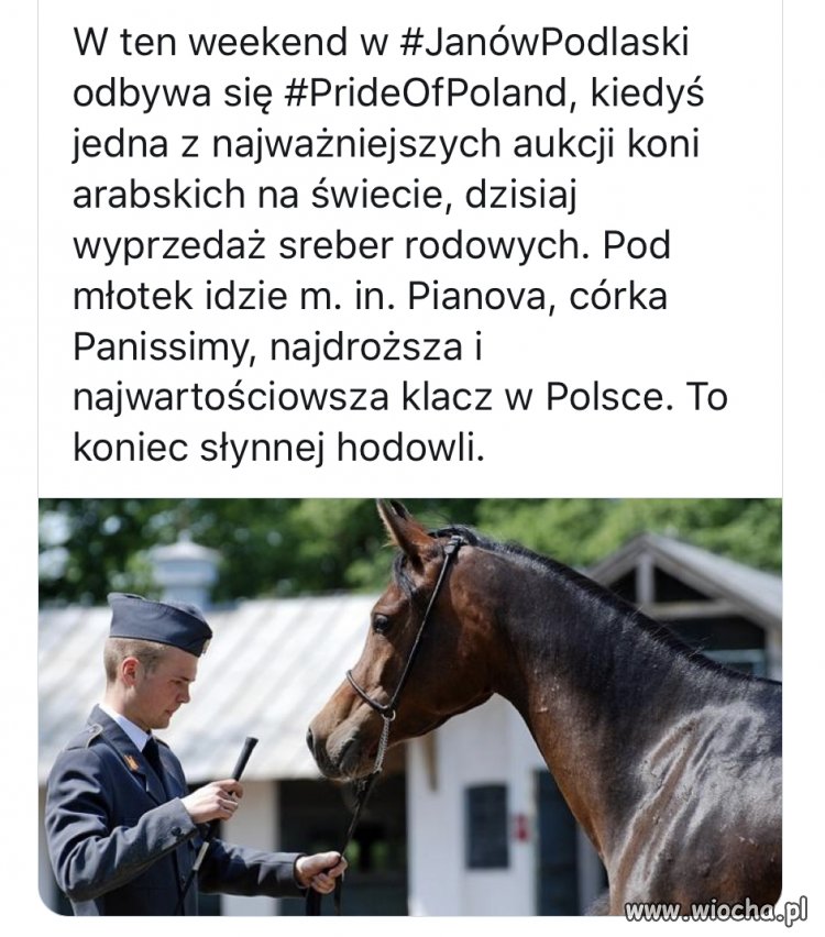 To już koniec