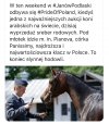 To już koniec