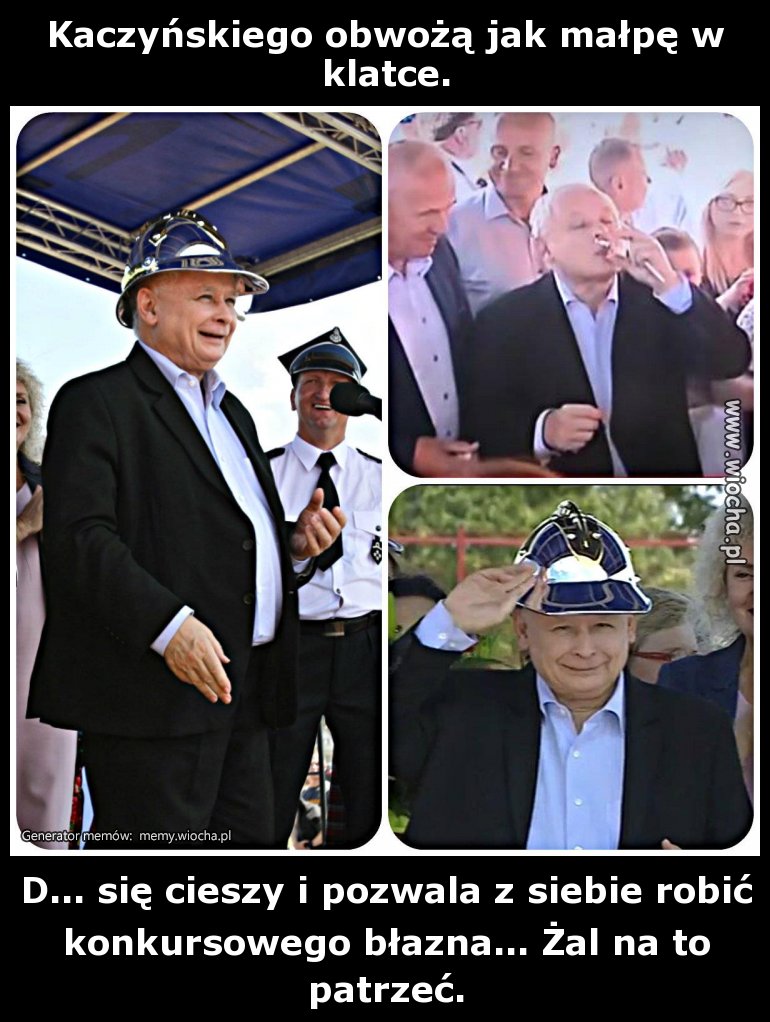 Kaczyńskiego obwożą jak małpę w klatce.