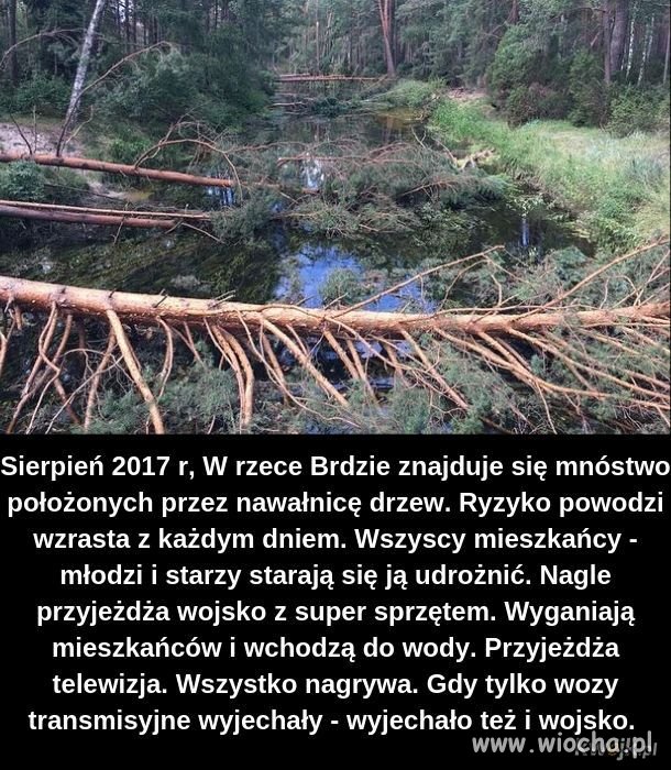 Polityka...