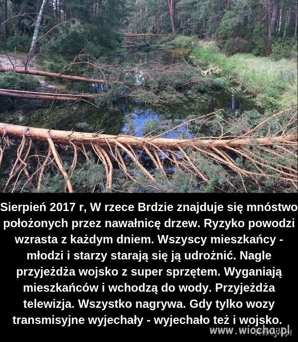 Polityka...