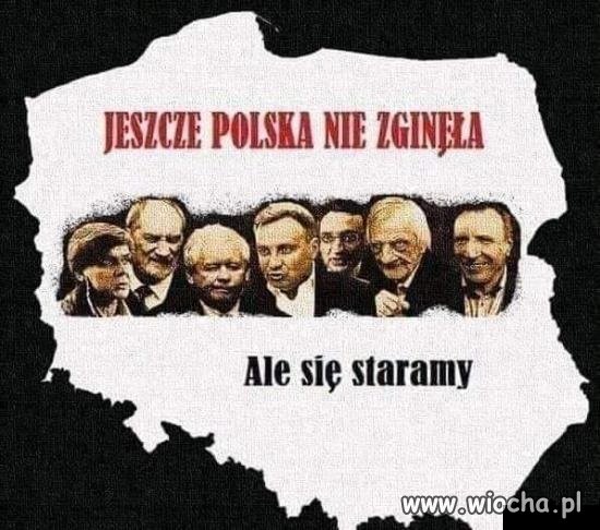 Wszystko 
