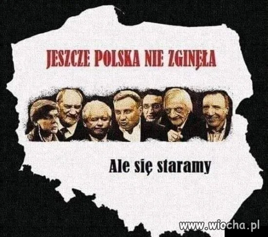 Wszystko 
