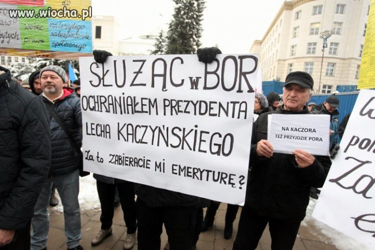 Miłosierny pis