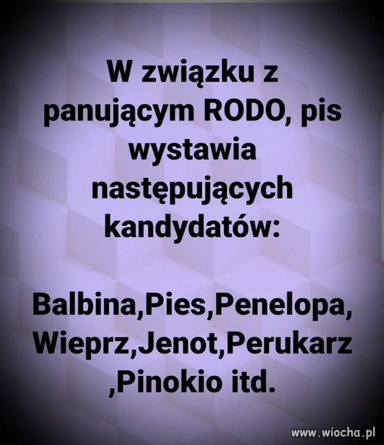 Jedynki PiSu po korekcie.