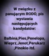 Jedynki PiSu po korekcie.