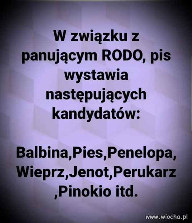 Jedynki PiSu po korekcie.