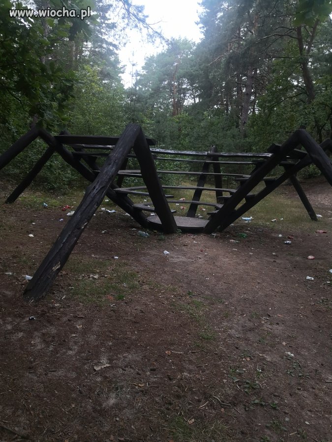 Pułtusk Poplawy środek lasu 
