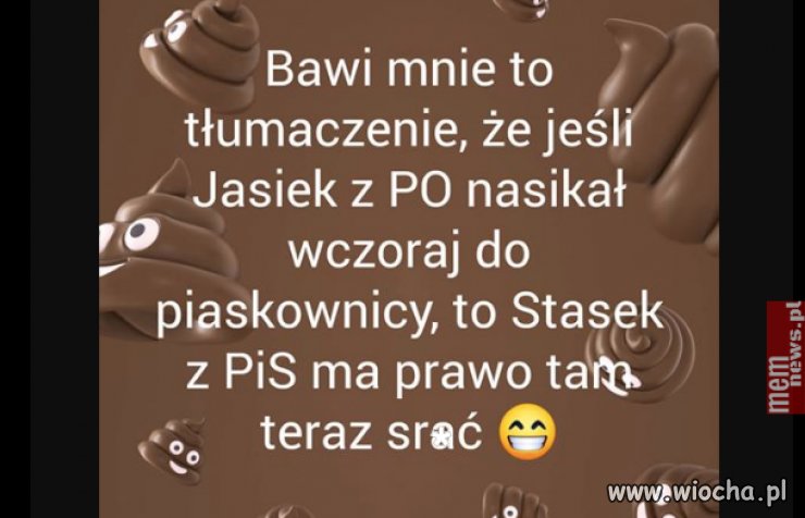 Logika pis