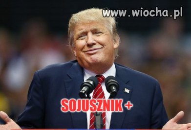 Sojusznik +
