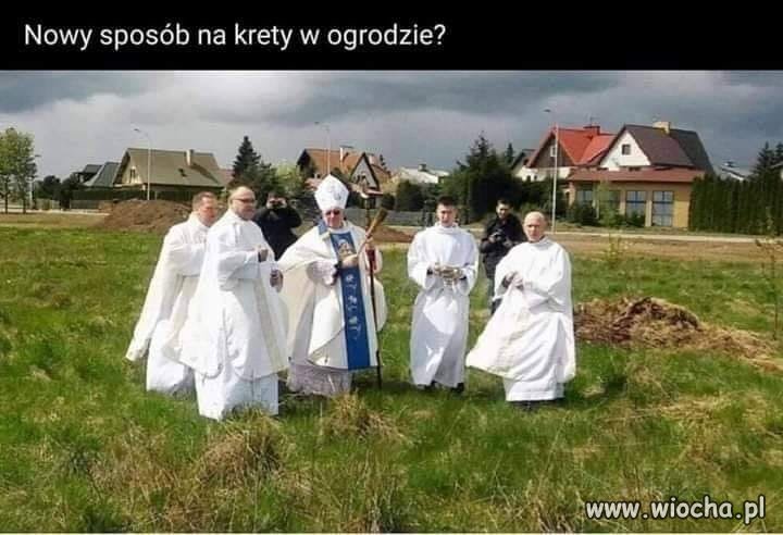 Za co zapłacisz to zrobią. Krety wygonią ...
