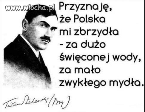 Myśl nieuczesana