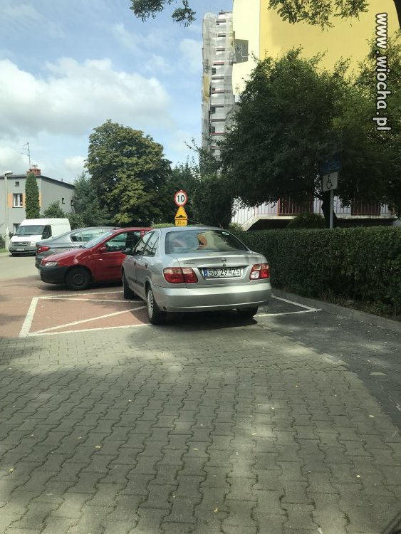 Rejestracja z Dąbrowy