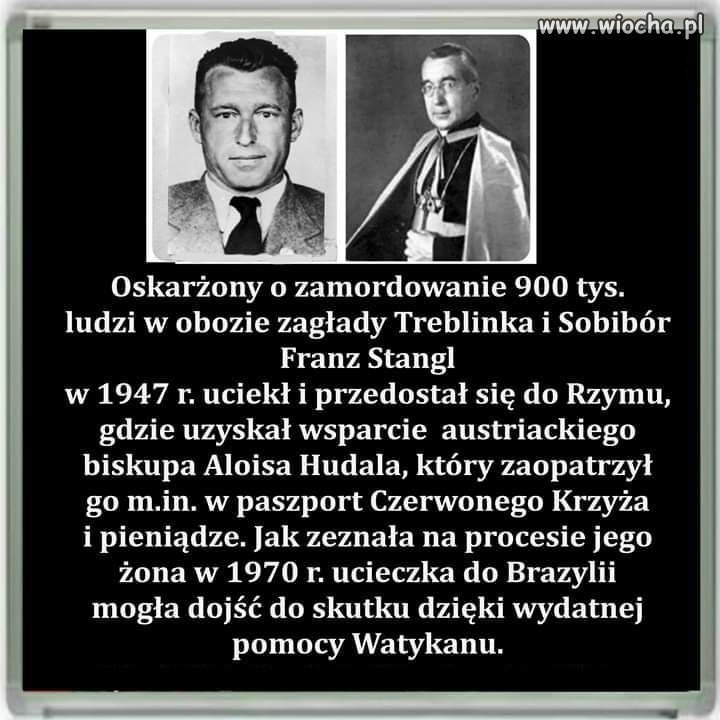 Tyle w temacie