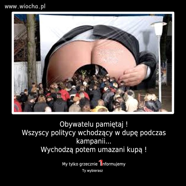 Wybory 2019