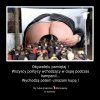 Wybory 2019