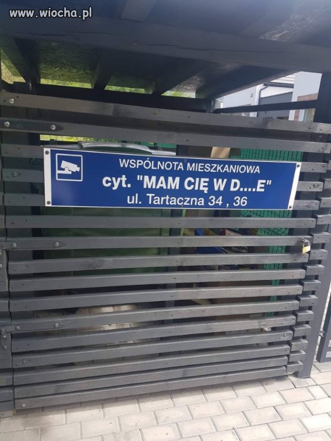 Można puścić wodze fantazji ...