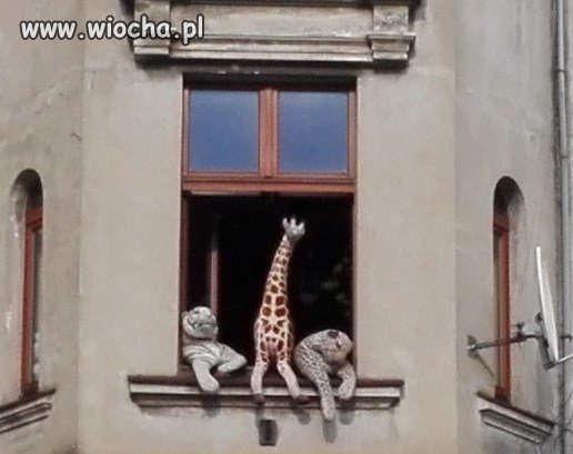 Niedziela we Wrocku