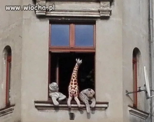 Niedziela we Wrocku