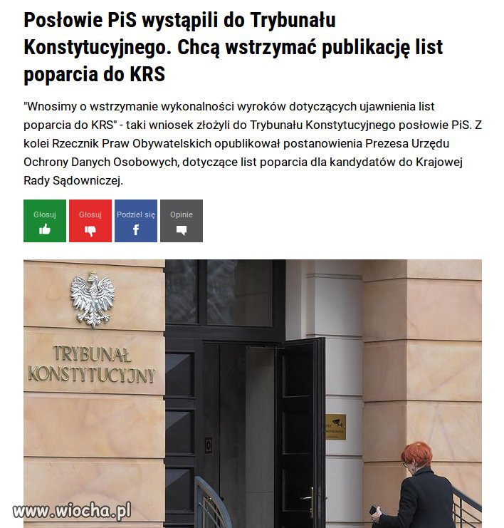 Ale mają w pisie cykora
